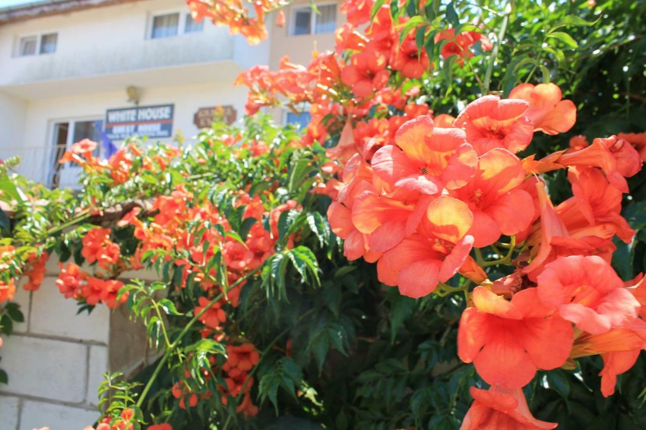 Бялата Къща Hotel Близнаци Екстериор снимка